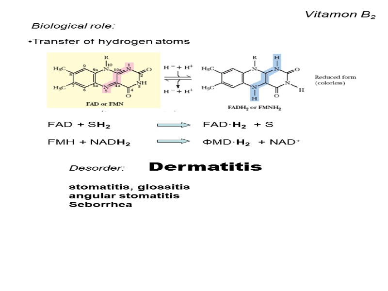 Vitamon B2 Biological role: Transfer of hydrogen atoms Desorder:    Dermatitis 